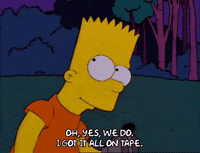 bart simpson episode 10 GIF