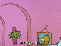 Season 1 GIF by The Simpsons