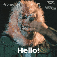 Amc Halfway To Halloween GIF by Shudder