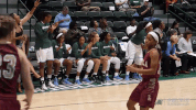 women's basketball GIF by GreenWave