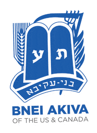 Ba Sticker by bneiakiva