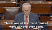 Chuck Schumer GIF by GIPHY News