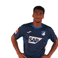 Sport Bundesliga Sticker by TSG Hoffenheim