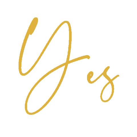 zijlachtnl giphyupload bijbel zijlacht zijlachtbijbel Sticker