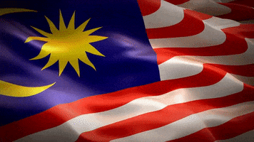 Flag Malaysia GIF by ProudSarawakian