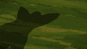 GIF by The Venture Brothers