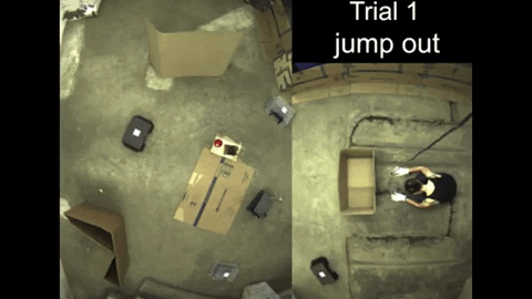 tulsimo giphygifmaker GIF