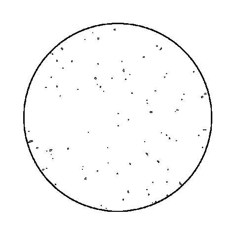 Colorado Buffaloes Space Sticker by weinventyou