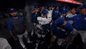 Home Run Baseball GIF by Toronto Blue Jays