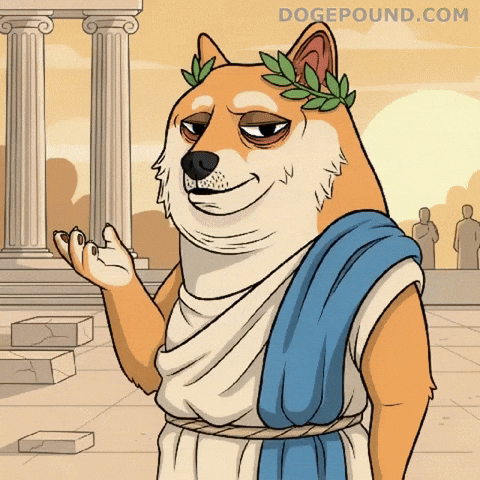 Proud Well Done GIF by Doge Pound