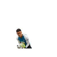Riseasone Sticker by St. Louis Ambush