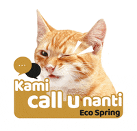 Cat Call You Later GIF by Eco Spring  at Iskandar Malaysia