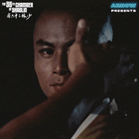 Martial Arts Film GIF by Arrow Video