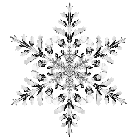 Snow Freezing Sticker by Feliks Tomasz Konczakowski