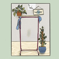 Women Clothing GIF by Suta Bombay