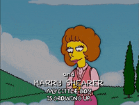 Episode 14 GIF by The Simpsons