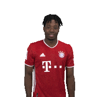 Miasanchampions Sticker by FC Bayern Munich