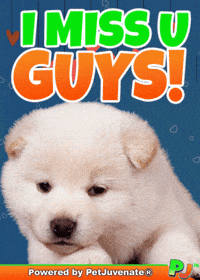 Henlo Hooman Fren GIF by PetJuvenate - PJ