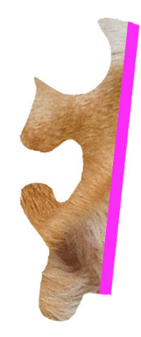 Puzzle Shiba Sticker