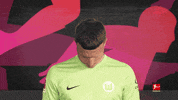 Vfl Wolfsburg Football GIF by Bundesliga