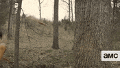 The Walking Dead Zombies GIF by AMC Latinoamérica