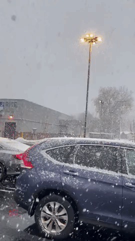 Snow Blankets Erie, Pennsylvania, as Winter Storm Edges Toward Western New York
