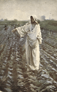 Saint Sowing GIF by GIF IT UP