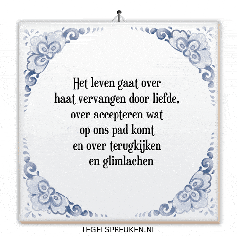 Humor Nl GIF by Tegelspreuken.nl