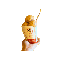 Thai Tea Sticker by Noona's Ice Cream