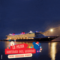 disney cruise line fireworks GIF by Disney Parks