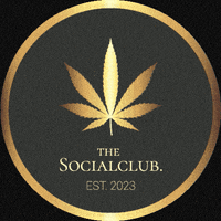 GIF by Thesocialclub