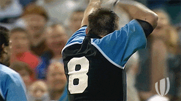 happy rugby world cup GIF by World Rugby