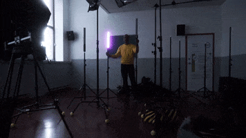 Film Director Toronto GIF by Bernardson