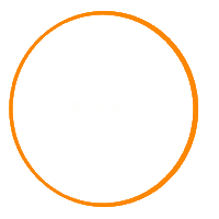 Orange Sticker by Nit Models Agency