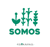 Diversidade Sticker by FOANPAS