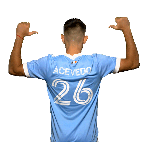 New York City Fc Reaction Sticker by NYCFC