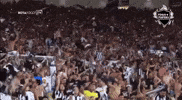 Bfr Alvinegro GIF