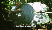 Happy David Attenborough GIF