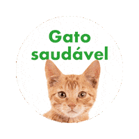 Nobivac Felv Sticker by MSD Família Pet