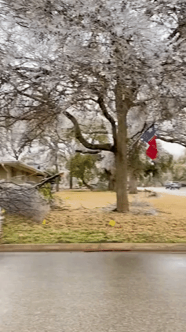 Icy Branches Littered Along Austin Street Amid Winter Storm