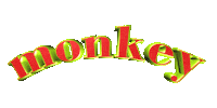 Monkey Sticker by GIPHY Text