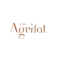 Christmas Natale Sticker by TenutaAgrilatBattipaglia