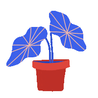 flower plant Sticker by Muchable