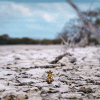 Tumbleweed