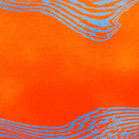 National Womens Soccer League No GIF by Houston Dash