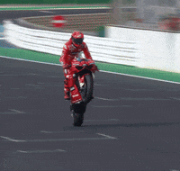 DucatiMotor bike race moto motogp GIF