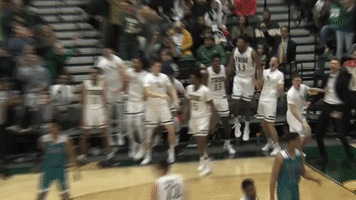 tribe hoops wm basketball GIF by William & Mary Tribe Athletics