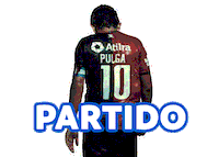 Idioma De Hincha Sticker by Copa América