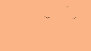 Palm Trees Hello GIF by BigBrains