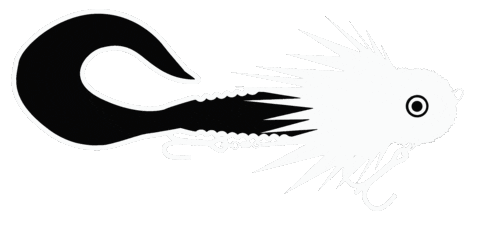 Blackbug Sticker by Blackbay fishing